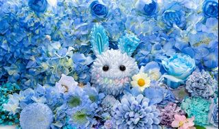 （分類：）位於 。 由 happygrace51 提交（商品編號 1459526928，圖片 1）。簡介： 。