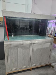 (Category: ) located in . Submitted by onlytank (Listing ID 1459535181, Image 1). Description: .