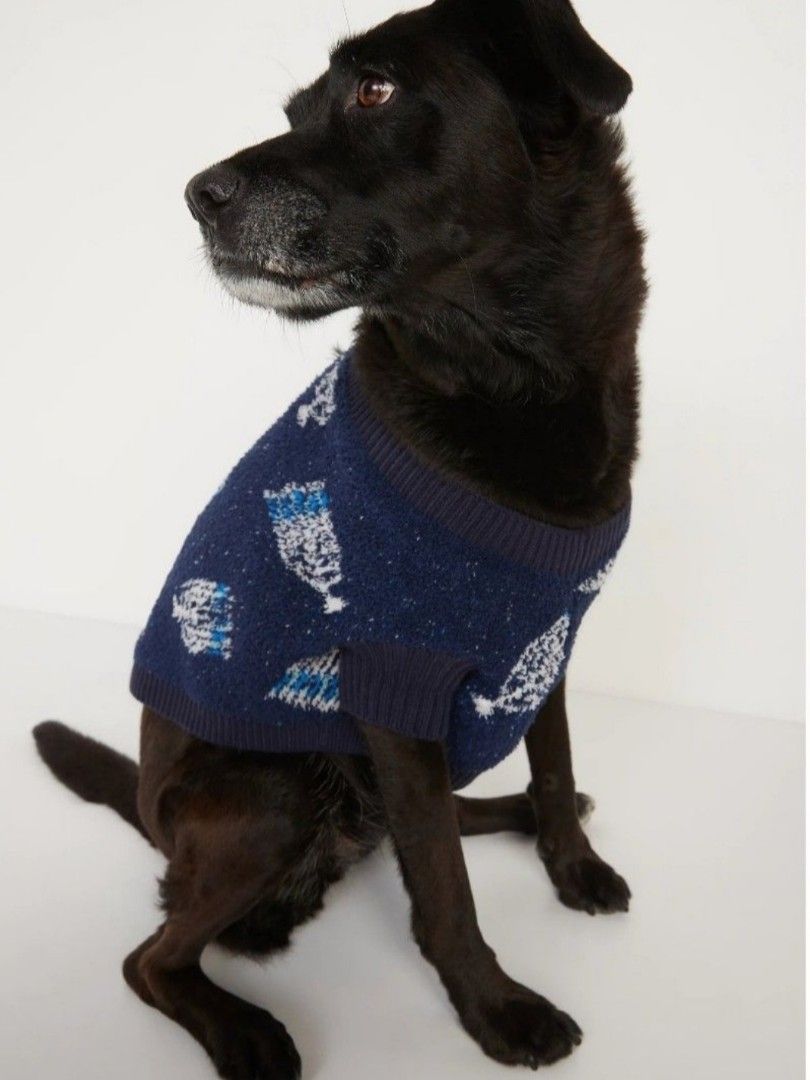 Large Dog Sweater Old Navy (Category: Homes & Other Pet Accessories) located in Makati City. Submitted by mylynmylyn (Listing ID 1459592255, Image 1). Description: brandnew original with tag.