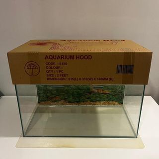 (Category: ) located in . Submitted by boyuan.aqua (Listing ID 1459569699, Image 1). Description: .