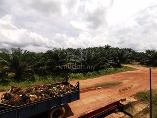 (Category: ) located in . Submitted by mudah434 (Listing ID 1448065685, Image 1). Description: .