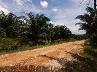 (Category: ) located in . Submitted by mudah434 (Listing ID 1448066034, Image 1). Description: .