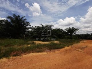 (Category: ) located in . Submitted by mudah434 (Listing ID 1448065445, Image 1). Description: .