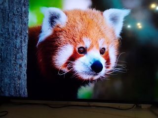（分類：）位於 。 由 sejolai 提交（商品編號 1459783517，圖片 1）。簡介： 。