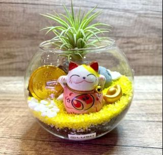 (Category: ) located in . Submitted by lushglassdoor (Listing ID 1459774730, Image 1). Description: .