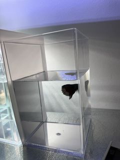 (Category: ) located in . Submitted by deepsea_dweller (Listing ID 1459848703, Image 1). Description: .