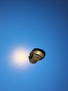 (Category: ) located in . Submitted by cherry_143maha (Listing ID 1459897115, Image 1). Description: .