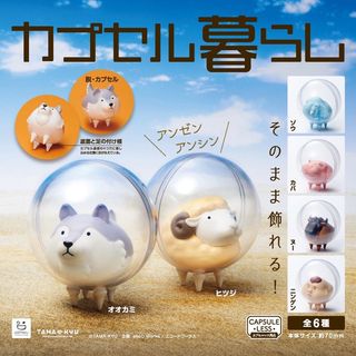 由 chimimal (刊登 ID 1459755722，圖片 1) 提交，位於 的 (類別：)，說明：。