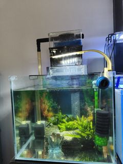 (Category: ) located in . Submitted by happyjos68 (Listing ID 1405862068, Image 1). Description: .