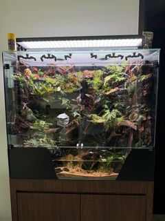 (Category: ) located in . Submitted by yaku3 (Listing ID 1459774656, Image 1). Description: .