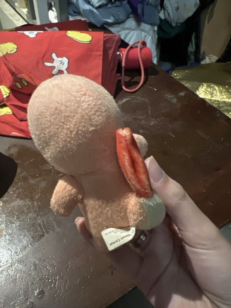 Ditto Charmander Plush Toy (Category: Plushies & Soft Toys) located in Manila. Submitted by erickalago (Listing ID 1459846080, Image 2). Description: loc: Manila.