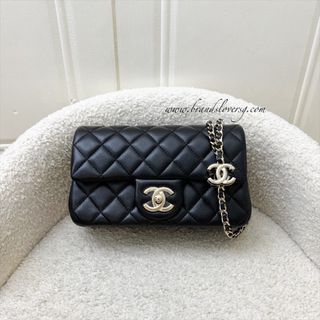 Chanel, Hermès, LV, Dior, Goyard Bags and Wallets 收藏品 3