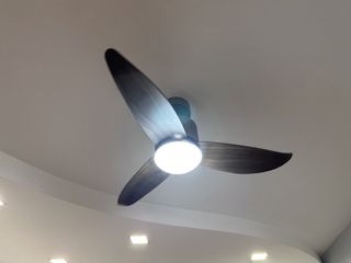(Category: ) located in . Submitted by cm_007 (Listing ID 1459732202, Image 1). Description: .