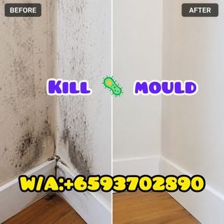 💥Upto 30% Offer Going On 💥special Hari Raya Haji Offer/House Painting/Plastering Service/painting Service/Limewash Painting/PU epoxy Paint/Epoxy Floor Paint/Varnish Polish/Dismantle & Disposal Service/Grouting Service/Hacking Service/Oil Paint Service/Cement Screeding/Self-Leveling  Collection item 1
