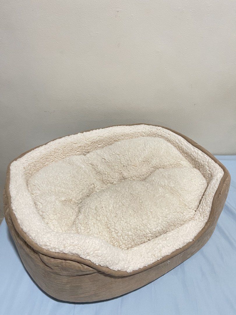 Petco Dog Bed (Category: Homes & Other Pet Accessories) located in Santa Rosa. Submitted by jaleendlal (Listing ID 1459839798, Image 1). Description: .