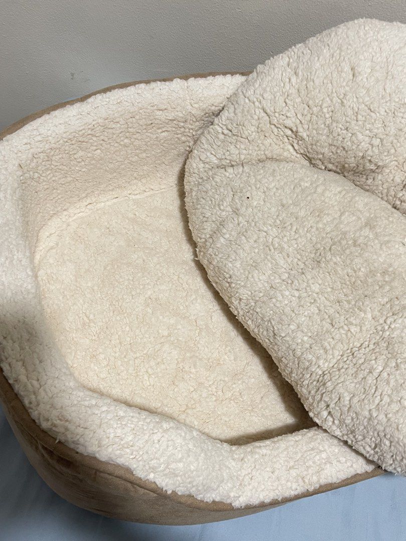 Petco Dog Bed (Category: Homes & Other Pet Accessories) located in Santa Rosa. Submitted by jaleendlal (Listing ID 1459839798, Image 2). Description: .