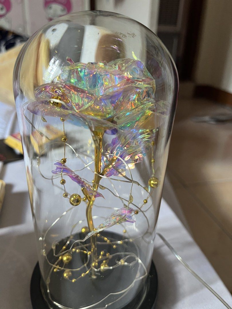 Rose Dome (Category: Other Home Decor) located in Valenzuela. Submitted by phearlzstorm (Listing ID 1459707147, Image 1). Description: Rose dome, theres usb fairy lights very good for display.