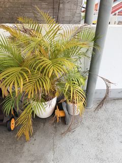(Category: ) located in . Submitted by andyedmonds (Listing ID 1459801707, Image 1). Description: .