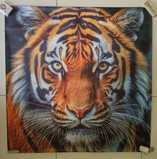 (Category: ) located in . Submitted by chin_collection (Listing ID 1459763746, Image 1). Description: .