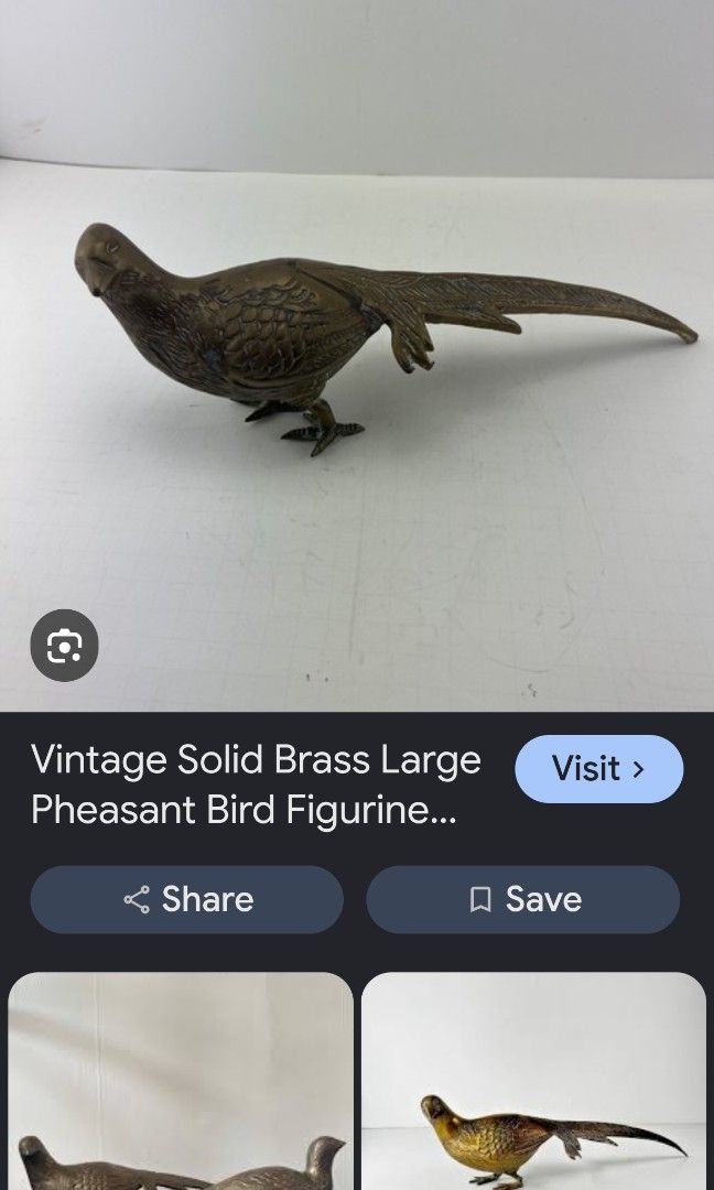 Vintage pheasant (Category: Coats, Jackets and Outerwear) located in Caloocan City. Submitted by zenmountain-d8b1c0 (Listing ID 1459806487, Image 1). Description: .