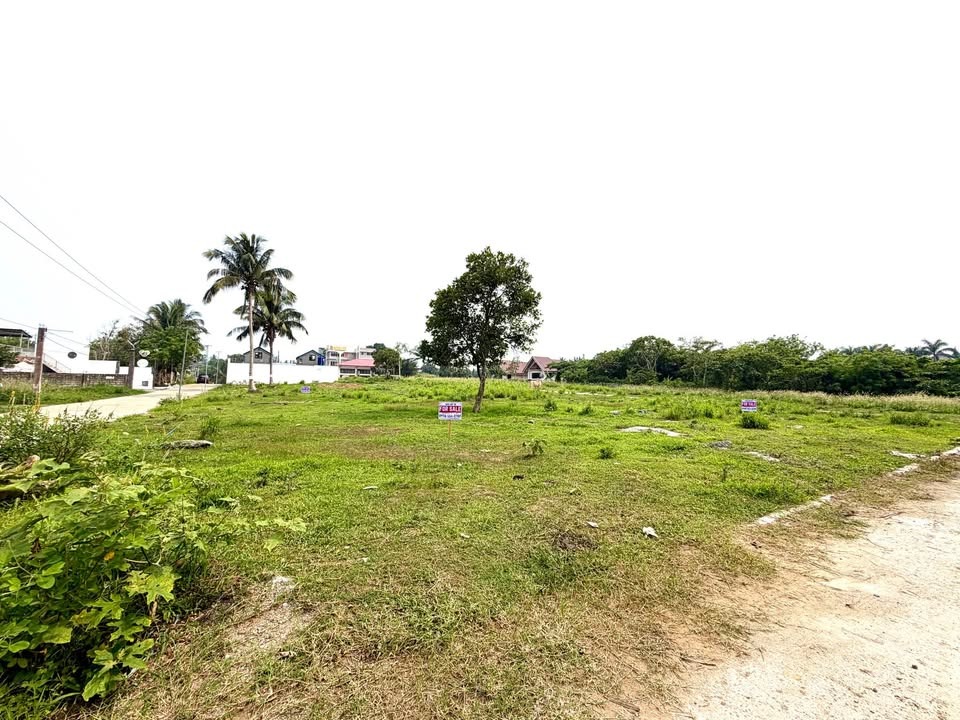 (Category: ) located in . Submitted by mnlproperties-everbright1 (Listing ID 1460048027, Image 1). Description: .