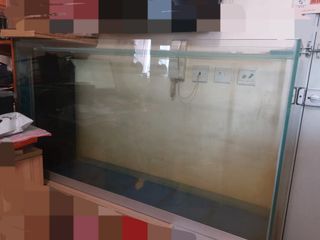 （分類：）位於 。 由 sylivewg 提交（商品編號 1459954946，圖片 1）。簡介： 。
