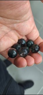 （分類：）位於 。 由 riychan 提交（商品編號 1460028907，圖片 1）。簡介： 。