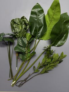 （分類：）位於 。 由 greenstarclub 提交（商品編號 1459978867，圖片 1）。簡介： 。