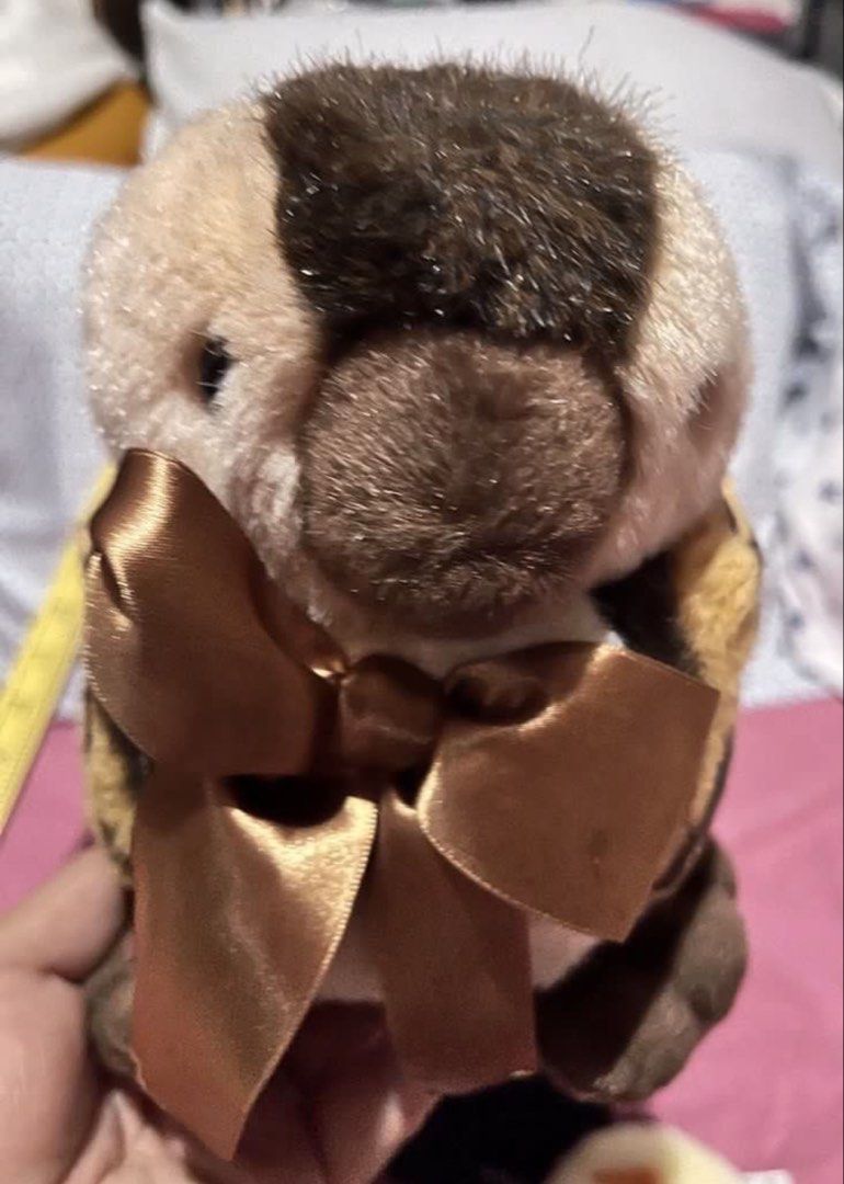 Bird brown spot (SALE) (Category: Homes & Other Pet Accessories) located in Paranaque City. Submitted by bonsaiart (Listing ID 1460103418, Image 1). Description: Pre owned Good condition 76(fixed) +sf Payment via GCASH or paymaya No to meetup No to cop / cod Shipping via j&t only No breaking of set or bundle.