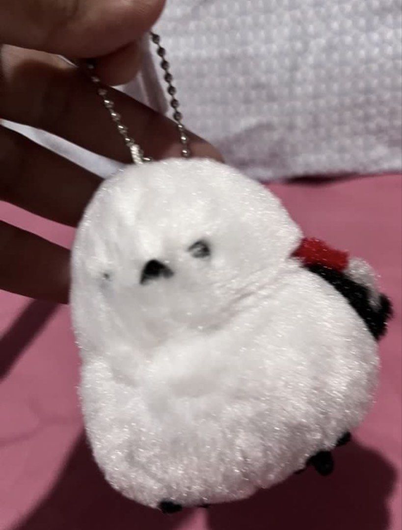 Bird white small (Category: Homes & Other Pet Accessories) located in Paranaque City. Submitted by bonsaiart (Listing ID 1460103569, Image 1). Description: Pre owned Good condition 275(fixed) +sf Payment via GCASH or paymaya No to meetup No to cop / cod Shipping via j&t only No breaking of set or bundle.