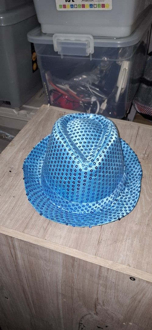 Blue Sequin Party Hat (Category: Hats & Beanies) located in Manila. Submitted by adaniel.81 (Listing ID 1460082705, Image 1). Description: - Fun blue hat covered in shiny sequins - Perfect for parties or costumes - Adds a pop of color to any outfit - One size fits most - Great for dress-up or a night out.
