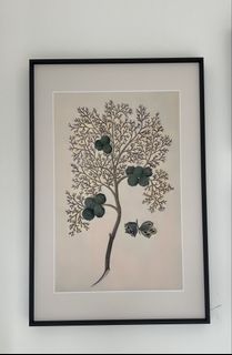 （分類：）位於 。 由 happyshopping3355 提交（商品編號 1459926834，圖片 1）。簡介： 。