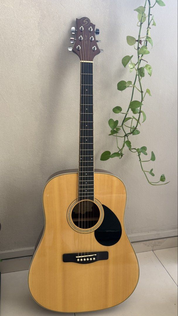 Architecture Instruments Greg Bennett Design GD-60/N Acoustic Guitar with Capos, Hobbies ...