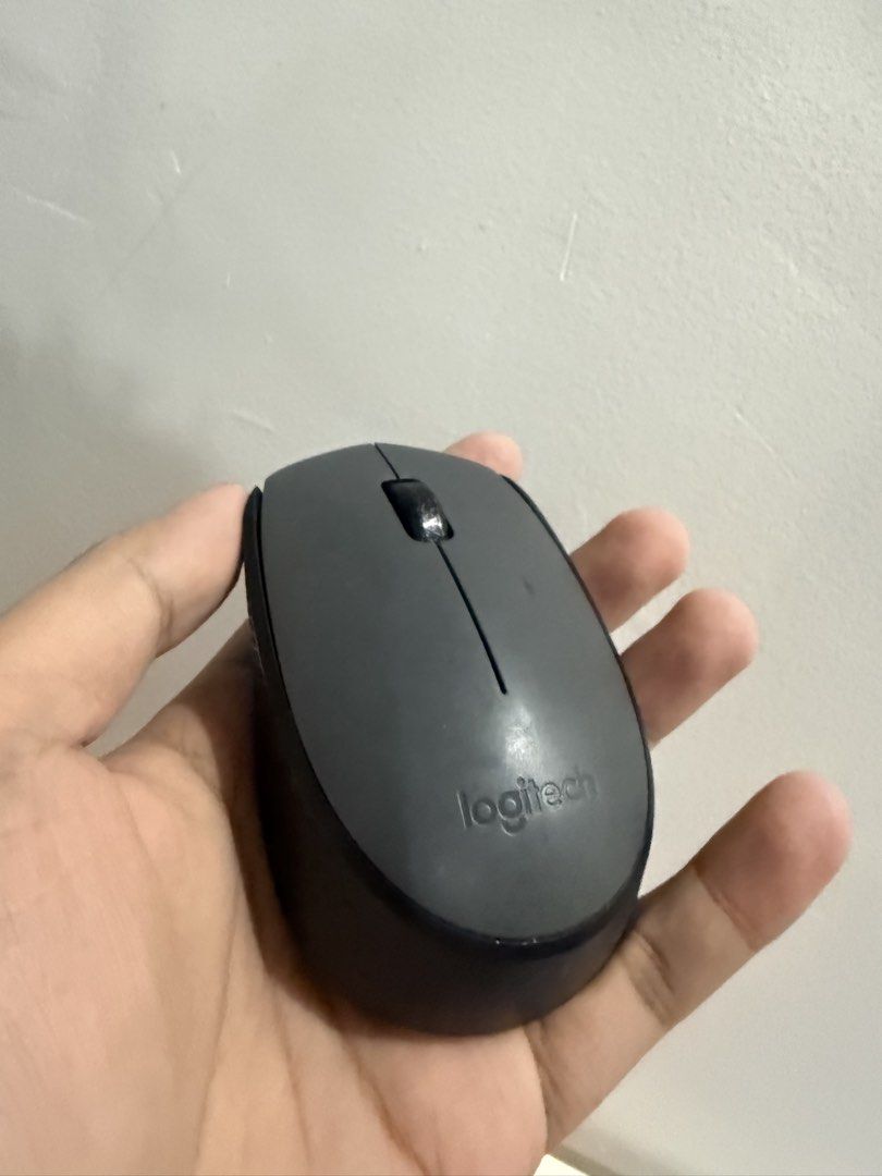 Logitech Wireless Mouse M170 (Category: Mouse & Mousepads) located in Rodriguez. Submitted by babytoothy (Listing ID 1459975635, Image 1). Description: 250 rfs: extra mouse.