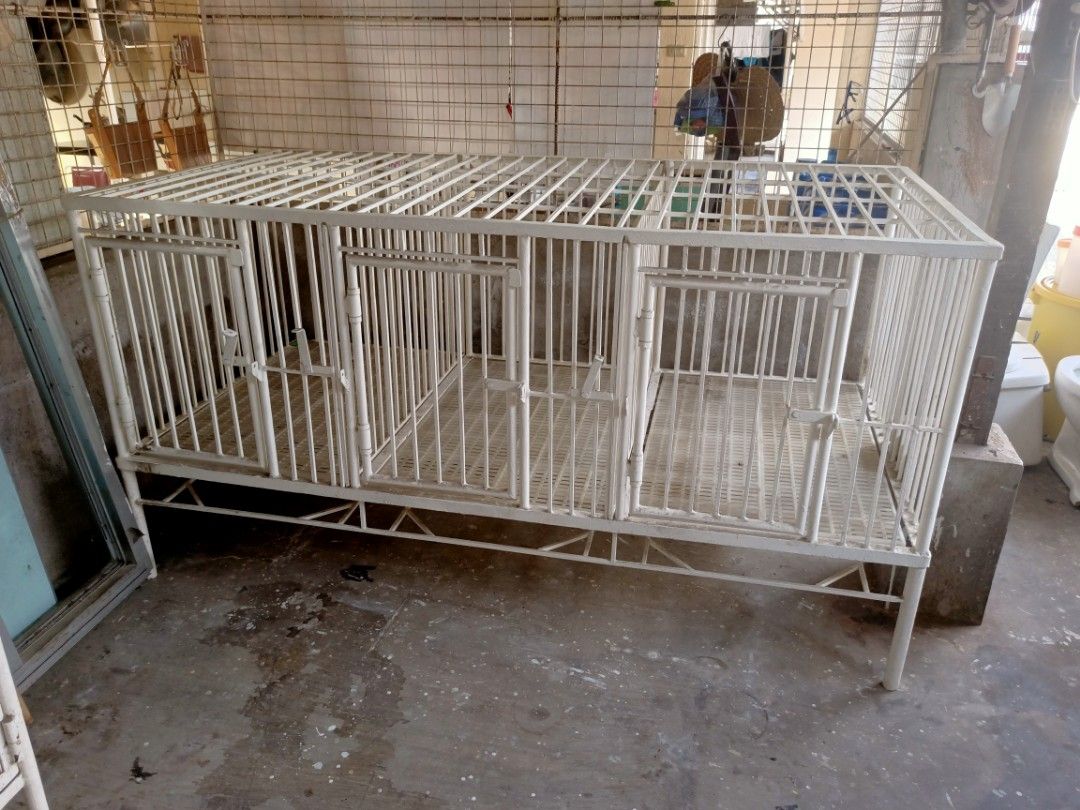 Multi-compartment Metal Dog Cage for Sale (Category: Homes & Other Pet Accessories) located in Binan City. Submitted by thrifty.08 (Listing ID 1459977124, Image 1). Description: Cage for Large Dogs Removable divider can be divided by 3 With floor matting and tray Fits with Labrador/Husky/Golden Retriever Size in Inches: H - 41 W - 38 L - 77 Php7,500 📍 Location: San Antonio, Biñan City.