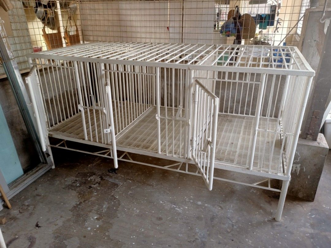 Multi-compartment Metal Dog Cage for Sale (Category: Homes & Other Pet Accessories) located in Binan City. Submitted by thrifty.08 (Listing ID 1459977124, Image 2). Description: Cage for Large Dogs Removable divider can be divided by 3 With floor matting and tray Fits with Labrador/Husky/Golden Retriever Size in Inches: H - 41 W - 38 L - 77 Php7,500 📍 Location: San Antonio, Biñan City.