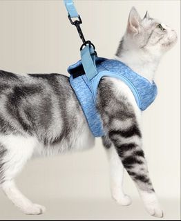 (Category: ) located in . Submitted by cairnhillroad (Listing ID 1460041358, Image 1). Description: .
