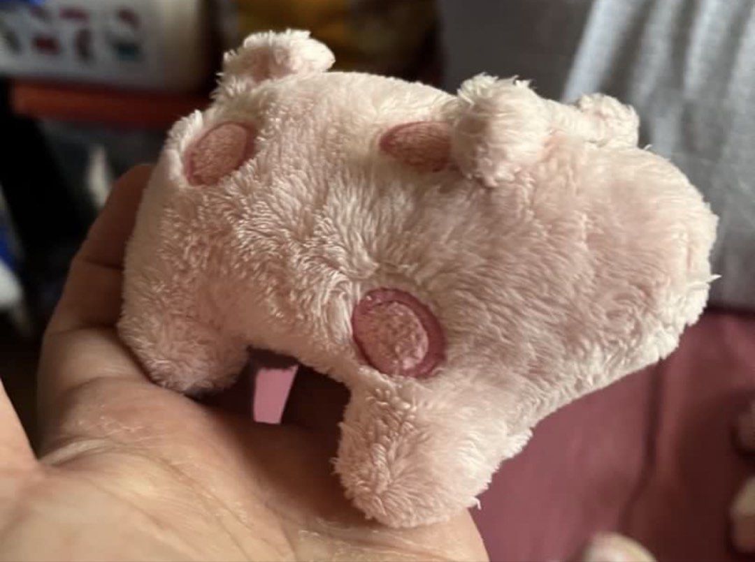 Pig plush #2 (SALE) (Category: Plushies & Soft Toys) located in Paranaque City. Submitted by bonsaiart (Listing ID 1460081007, Image 2). Description: Pre owned Good Condition 50(fixed) +sf Payment via GCASH or paymaya No to meetup No to cop / cod Shipping via j&t only No breaking of set or bundle.