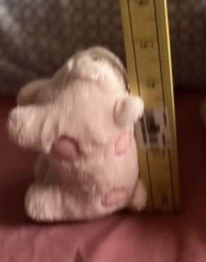Pig plush #2 (SALE) (Category: Plushies & Soft Toys) located in Paranaque City. Submitted by bonsaiart (Listing ID 1460081007, Image 3). Description: Pre owned Good Condition 50(fixed) +sf Payment via GCASH or paymaya No to meetup No to cop / cod Shipping via j&t only No breaking of set or bundle.