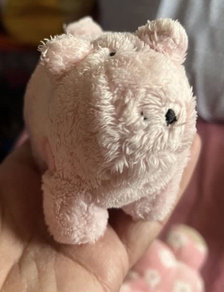 Pig plush #2 (SALE) (Category: Plushies & Soft Toys) located in Paranaque City. Submitted by bonsaiart (Listing ID 1460081007, Image 1). Description: Pre owned Good Condition 50(fixed) +sf Payment via GCASH or paymaya No to meetup No to cop / cod Shipping via j&t only No breaking of set or bundle.
