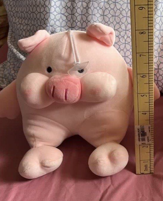 Pig plush #5 (Category: Plushies & Soft Toys) located in Paranaque City. Submitted by bonsaiart (Listing ID 1460081661, Image 2). Description: Pre owned Good Condition 185(fixed) +sf Payment via GCASH or paymaya No to meetup No to cop / cod Shipping via j&t only No breaking of set or bundle.