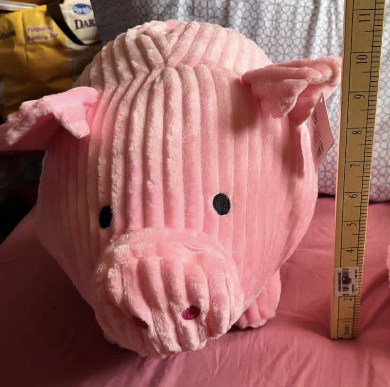 Pig soft plush coin bank (Category: Plushies & Soft Toys) located in Paranaque City. Submitted by bonsaiart (Listing ID 1460083063, Image 2). Description: Brandnew Bulky 800(fixed) +sf Payment via GCASH or paymaya No to meetup No to cop / cod Shipping via j&t only No breaking of set or bundle.