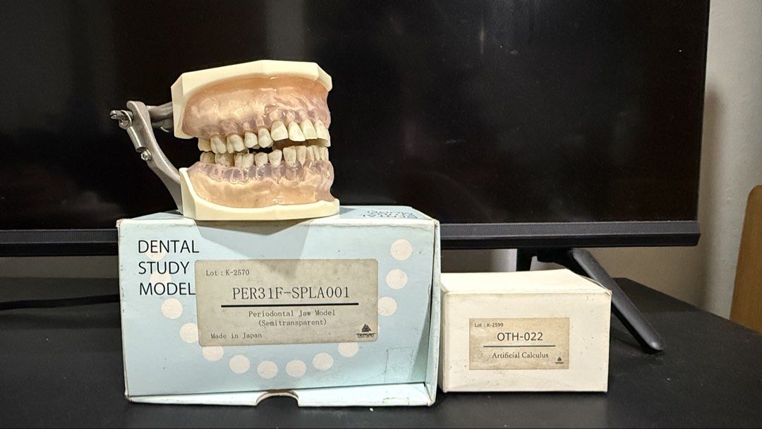 Trimunt Periodontal Jaw Study Model PER31F-SPLA001 (Category: Medical Supplies & Tools) located in Quezon City. Submitted by thriftastoreph (Listing ID 1459945031, Image 1). Description: - Semi-transparent periodontal jaw study model - Made in Japan - Includes artificial calculus - Ideal for dental studies or practice - Comes with original boxes.