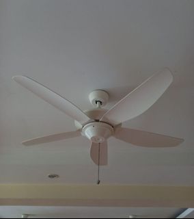 (Category: ) located in . Submitted by javvisapanda (Listing ID 1460230356, Image 1). Description: .
