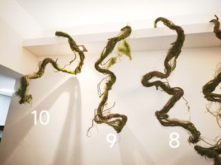 （分類：）位於 。 由 simonkong1976 提交（商品編號 1460253778，圖片 1）。簡介： 。