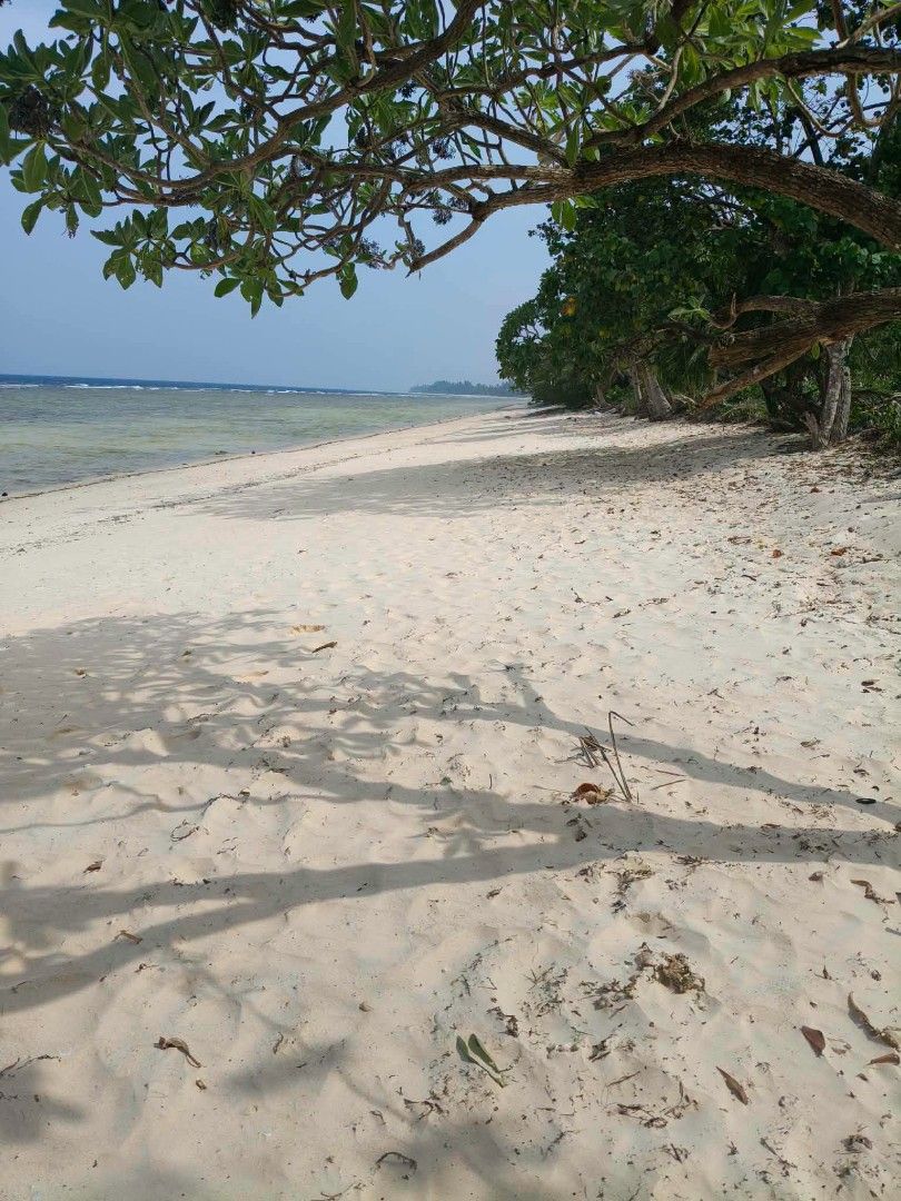 Beachline and Beach Access (Category: Lot) located in Manila. Submitted by jourdvis_5 (Listing ID 1460134865, Image 2). Description: BEACHLINE FOR SALE in BAGANGA, DAVAO ORIENTAL Beach lover kaba !?⛱️🏝️🏖️ Your dream Getaway 😱 Avail na basin mahutdan ka🥰 Super ka white sand gyud ok promise! Beachline 🏖️ 320 sqm 8,000 per square meters DP 500k balance 40 months Beach access ⛱️ 100sqm 9k straight monthly Terms: 40 months Location: Baganga , Dav