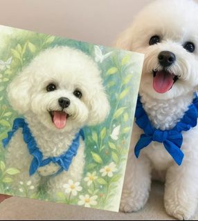 All kind of stuff for dog lover Collection item 1