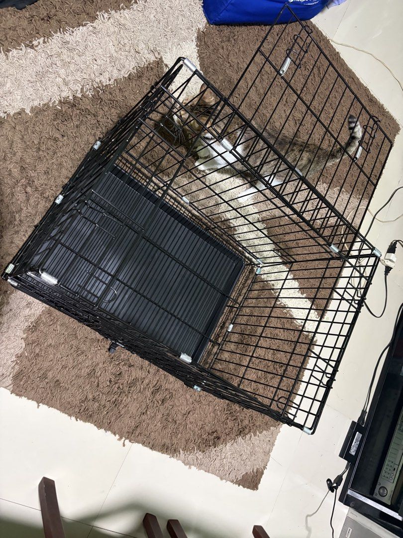 Dog Cage with Tray (Category: Homes & Other Pet Accessories) located in Manila. Submitted by bubblewaps (Listing ID 1460190834, Image 3). Description: - foldable - good as new - ONLY USED ONCE - 600mmx430mm - MOP: gcash - MOD: Lalamove -LOC: Marikina.