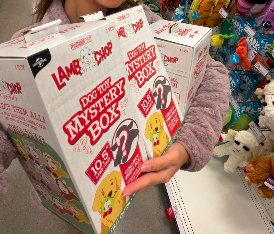 Lamb chop mystery box (sealed) (Category: Homes & Other Pet Accessories) located in Caloocan City. Submitted by lucathedoxie (Listing ID 1460180088, Image 3). Description: One of the most-loved dog toys in the USA PREORDER NOW ETA: November 10, 2026 (PH) Limited slots only Please note: This is a mystery box. Design will be randomly selected and cannot be guaranteed.