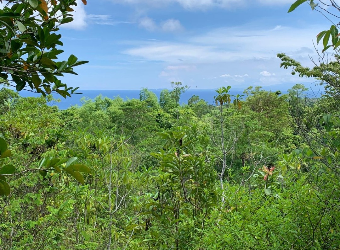 (Category: ) located in . Submitted by land4sale (Listing ID 1460156142, Image 1). Description: .